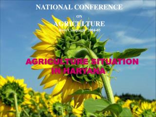 NATIONAL CONFERENCE ON AGRICULTURE Rabi Campaign- 2004-05