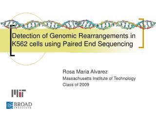 Detection of Genomic Rearrangements in K562 cells using Paired End Sequencing
