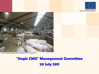 &quot; Single CMO &quot; Management Committee 20 July 2011