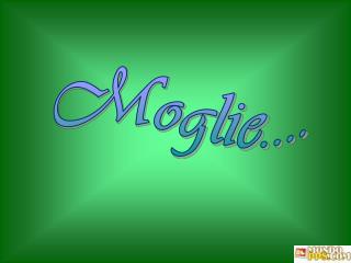 Moglie....