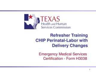 Refresher Training CHIP Perinatal-Labor with Delivery Changes
