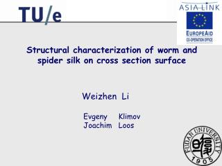 Structural characterization of worm and spider silk on cross section surface