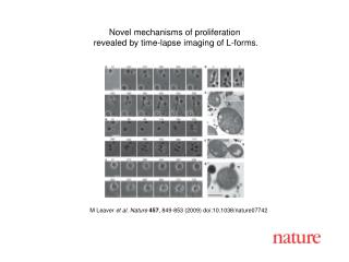 M Leaver et al. Nature 457 , 849-853 (2009) doi:10.1038/nature07742