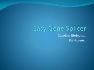 Easy Gene Splicer