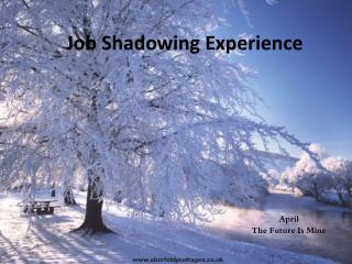 Job Shadowing Experience