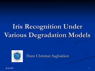 Iris Recognition Under Various Degradation Models