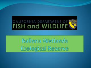 Ballona Wetlands Ecological Reserve