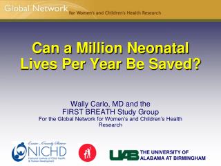 Can a Million Neonatal Lives Per Year Be Saved?