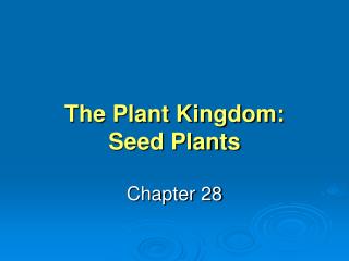 The Plant Kingdom: Seed Plants