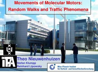 Movements of Molecular Motors: Random Walks and Traffic Phenomena
