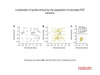 M Zirnsak et al. Nature 507 , 504-507 (2014) doi:10.1038/nature13149