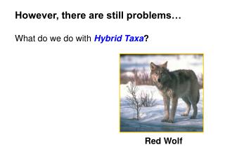 However, there are still problems… What do we do with Hybrid Taxa ?