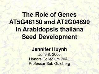 The Role of Genes AT5G48150 and AT2G04890 in Arabidopsis thaliana Seed Development