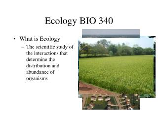 Ecology BIO 340