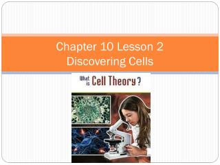 Chapter 10 Lesson 2 Discovering Cells