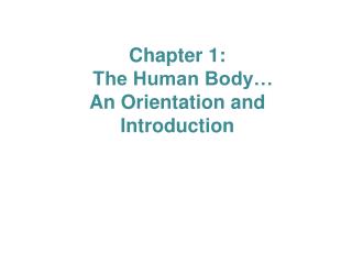 Chapter 1: The Human Body… An Orientation and Introduction