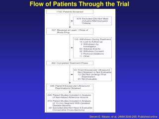 Flow of Patients Through the Trial