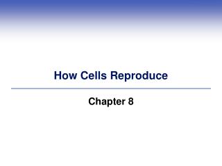 How Cells Reproduce