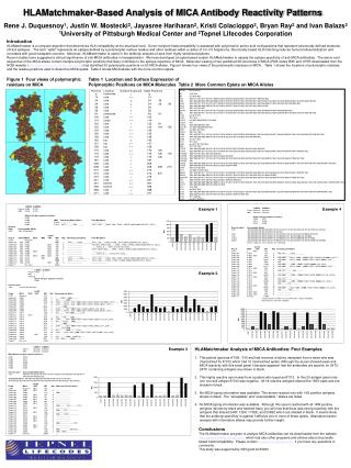 HLAMatchmaker-Based Analysis of MICA Antibody Reactivity Patterns