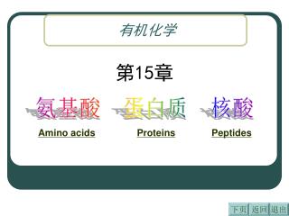 氨基酸 蛋白质 核酸