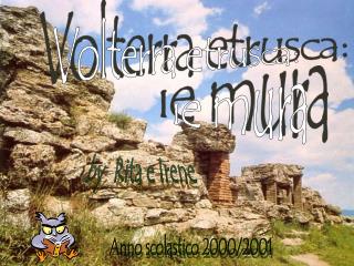 Volterra etrusca: