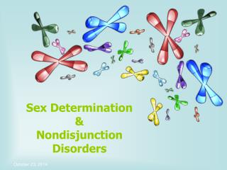 Sex Determination &amp; Nondisjunction Disorders