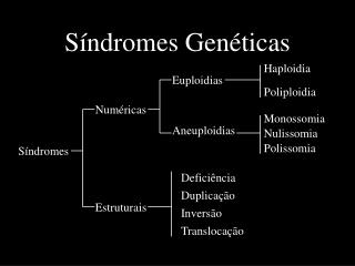 Síndromes Genéticas