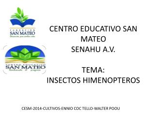 CENTRO EDUCATIVO SAN MATEO SENAHU A.V. TEMA: INSECTOS HIMENOPTEROS