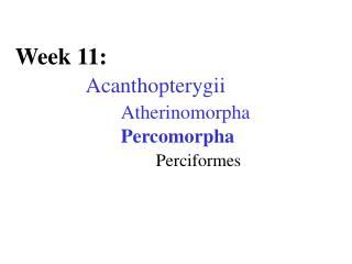 Week 11: Acanthopterygii Atherinomorpha 			Percomorpha Perciformes