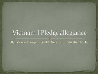 Vietnam I Pledge allegiance