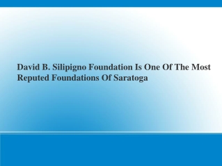 David B. Silipigno Foundation Is One Of The Most Reputed Foundations Of Saratoga