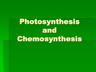 Photosynthesis and Chemosynthesis