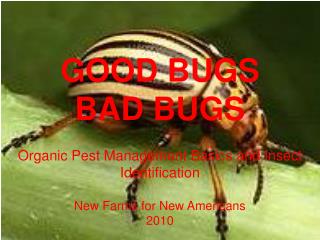GOOD BUGS BAD BUGS Organic Pest Management Basics and Insect Identification