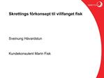Skrettings f rkonsept til villfanget fisk