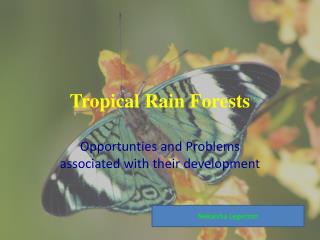 Tropical Rain Forests