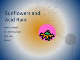 Sunflowers and Acid Rain