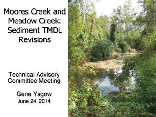 Moores Creek and Meadow Creek: Sediment TMDL Revisions