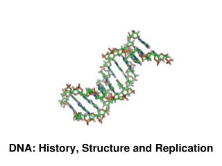 DNA: History, Structure and Replication