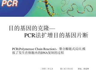目的基因的克隆 — PCR 法 扩增目的基因片断