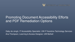 Promoting Document Accessibility Efforts and PDF Remediation Options