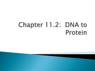 Chapter 11.2: DNA to Protein