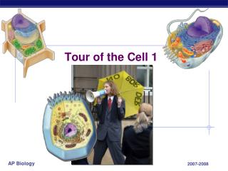 Tour of the Cell 1