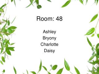 Room: 48