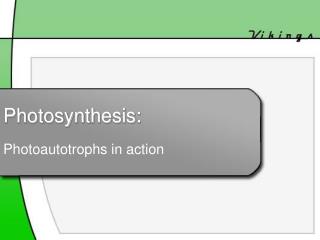 Photosynthesis: