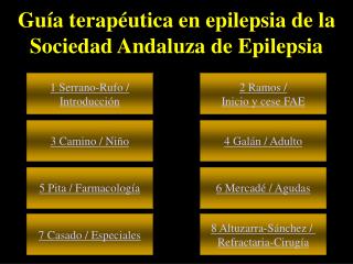 Guía terapéutica en epilepsia de la Sociedad Andaluza de Epilepsia