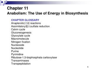 Chapter 11 Anabolism: The Use of Energy in Biosynthesis