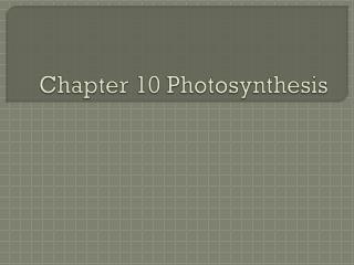 Chapter 10 Photosynthesis