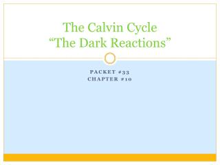 The Calvin Cycle “The Dark Reactions”