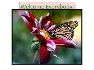 Welcome Everybody