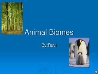 Animal Biomes